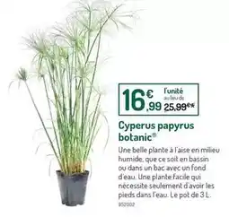 Tanoshi - nouilles ramen précuites soja caramel
