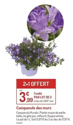 Auchan Kellogg's - céréales frosties offre