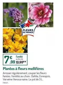 Auchan Legal - café en grain le café bistrot offre