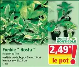 Auchan Vitavea - gummies pur'detox offre