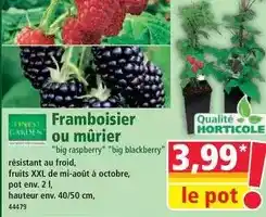 Auchan Barilla - spaghetti sans gluten offre