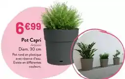 Auchan Pepsi - zéro sucres offre