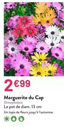 Auchan Dash - lessive liquide 2 en 1 envolée d'air offre