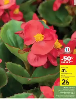 Netto Charal - 2 cheese burgers offre