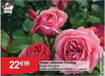 Conforama Banquette-lit clic- clac 2 places dolly offre