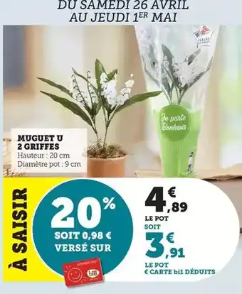 Conforama Chaise sacha offre