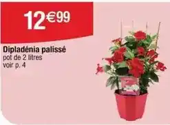 Conforama Moulinex - blender offre