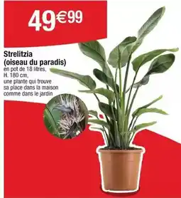 Conforama Aspirateur balai offre