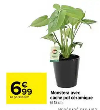 Carrefour Monstera Avec Cache Pot Céramique offre