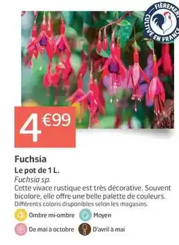 Carrefour Carrefour - baby foot offre