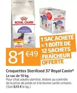 Carrefour Baby clementoni - zoé, ma licorne adorée offre