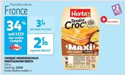 Carrefour Goliath - barbecue party offre