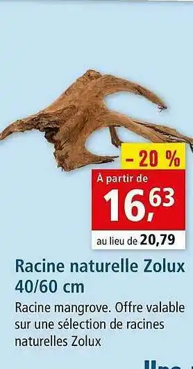 Racine Naturelle Zolux 40 - 60 Cm