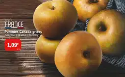 Colruyt Pommes Canada grises offre