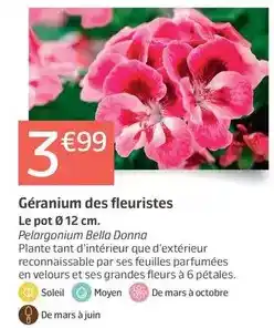 Bazarland Masque avec cagoule offre