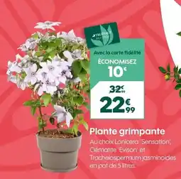 Carrefour Hp - ordinateur portable offre