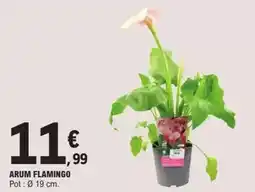 Gifi Jardinière roses et arums 20 têtes offre