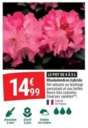 Ragreage fibre prb 25 kg + 5 kg gratuits