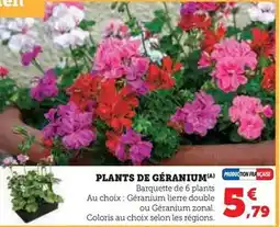 Monoprix Pamper petz chat ou lapin offre