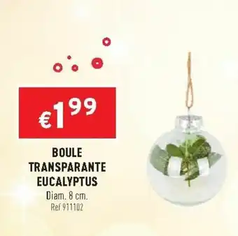 Trafic Boule transparante eucalyptus offre
