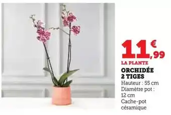 Monoprix Si j'étais la maîtresse offre