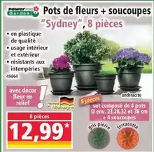 Auchan Auchan - saucisse de morteau igp à table en france offre