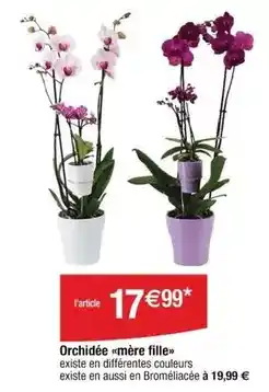 Trafic Dim - paillasson halloween offre