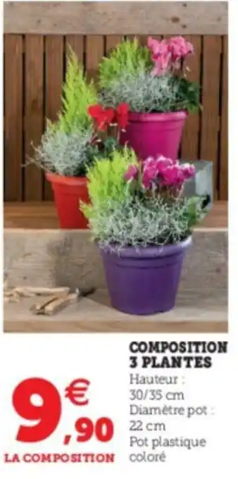 Super U Composition 3 Plantes offre