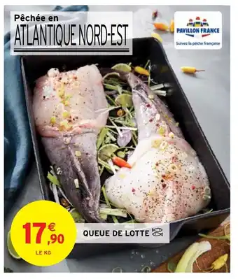 Intermarché Queue De Lotte offre