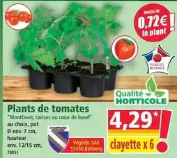 Auchan Auchan - carottes rapées offre