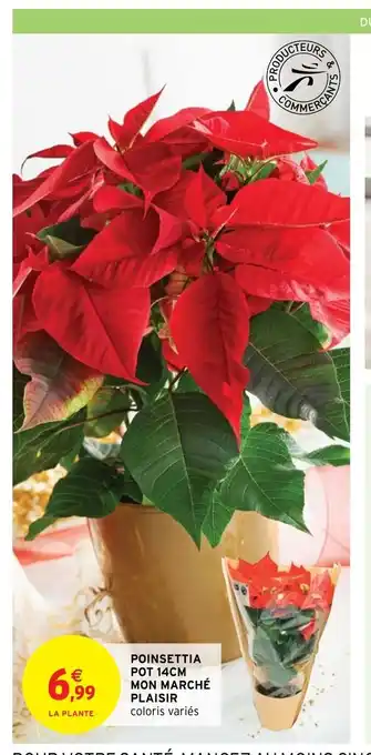 Intermarché Poinsettia Pot 14 Cm Mon Marché Plaisir offre