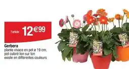 E.Leclerc E.leclerc - exploraglobe interactif offre