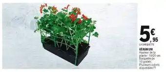 E.Leclerc Géranium offre
