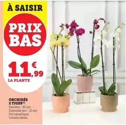 Carrefour Light&free - yaourts aux fruits 0% offre découverte offre