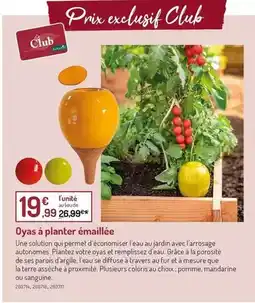 Carrefour D'aucy - haricots verts extra fins et rangés lot familial offre