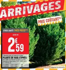 E.Leclerc Peluche ours 40 cm env offre