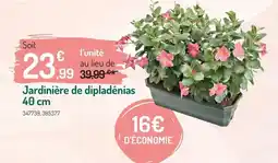 Cora x Carrefour Orange - super trotteur parjant 2 en 1 offre