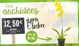 Guy Demarle Planche à découper offre