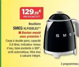 Maxi Bazar Bouquet d'allium offre