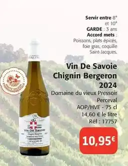 Maxi Bazar Guirlande lumineuse différents modèles offre