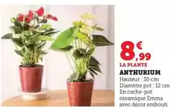 Bricomarché Dim - robinet de radiateur thermostatique équerre ecoul offre