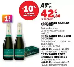 Bricomarché Chrysanthème pompon en pot de 15 cm offre