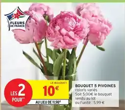 Brico Dépôt Titan - perceuse a percussion 18 v offre