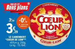 Brico Dépôt Dim - soit le panineau offre