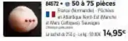 Pagès - cahier à spirale a4
