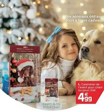 Gifi Calendrier De L'avent Pour Chien Ou Pour Chat offre