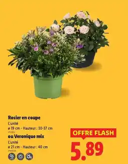 Carrefour Sony - barre de son 5.15 offre