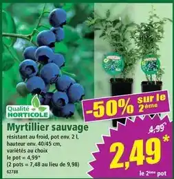 Norma Royal - poêle e en granit offre