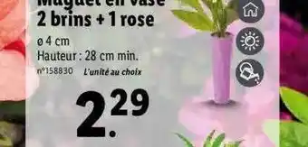 Lidl Muguet En Vase 2 Brins + 1 Rose offre