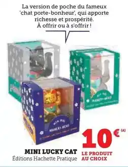 Auchan Petit navire - thon au naturel démarche responsable offre